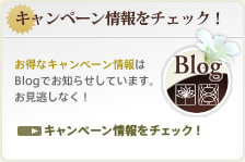 �L�����y�[�������`�F�b�N�I